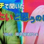 TSフジテレビ出演