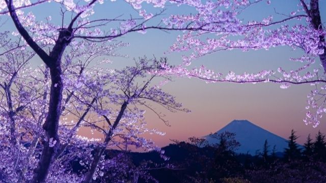 静岡県探偵